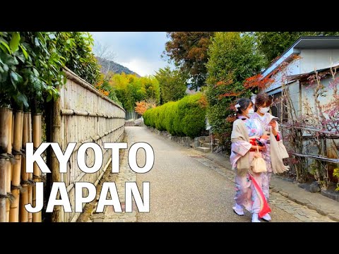 4KSnowy KYOTO JAPAN 2022 Bamboo Forests Arashiyama Park Walking