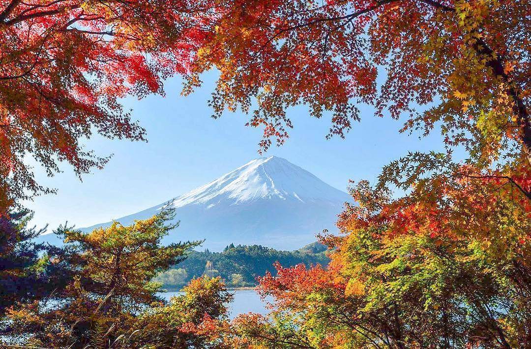 @Visit Japan: Lake Kawaguchi Photo by @mihoko_sano_223. We introduce ...