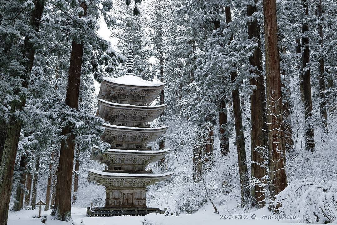 @Visit Japan: In the stillness of the cedar forest rises the National ...