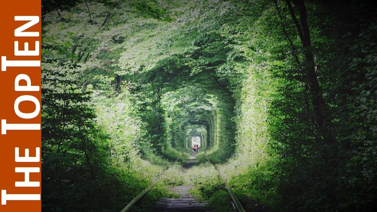 The Top Ten Most Amazing Tree Tunnels - Alo Japan