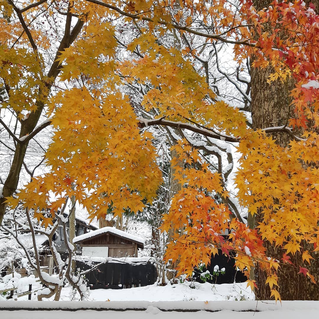 Visit Japan: Upper class Samurai house. There are six that are open to ...