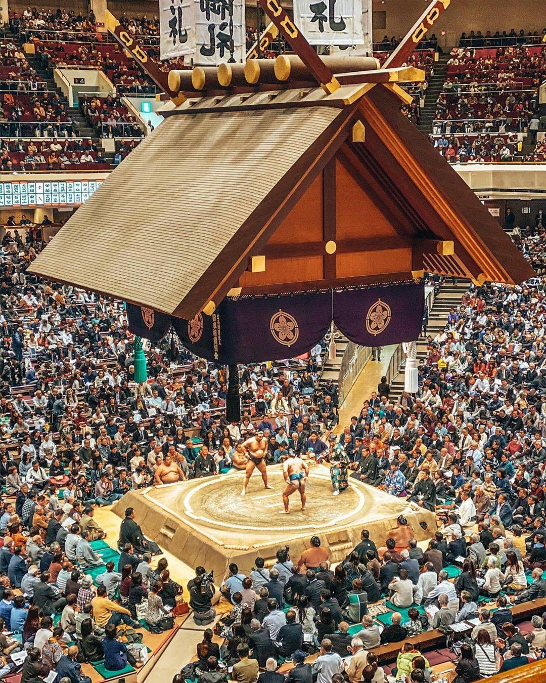 Sumo Next Tournament