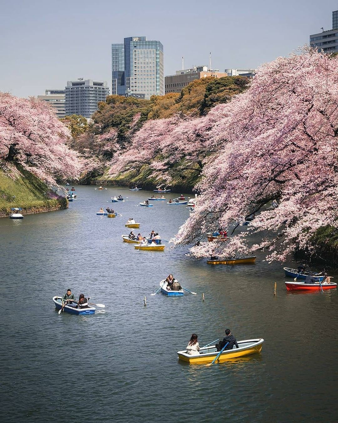 Japan Travel: Boats on a moat! One of the iconic springtime in Tokyo ...