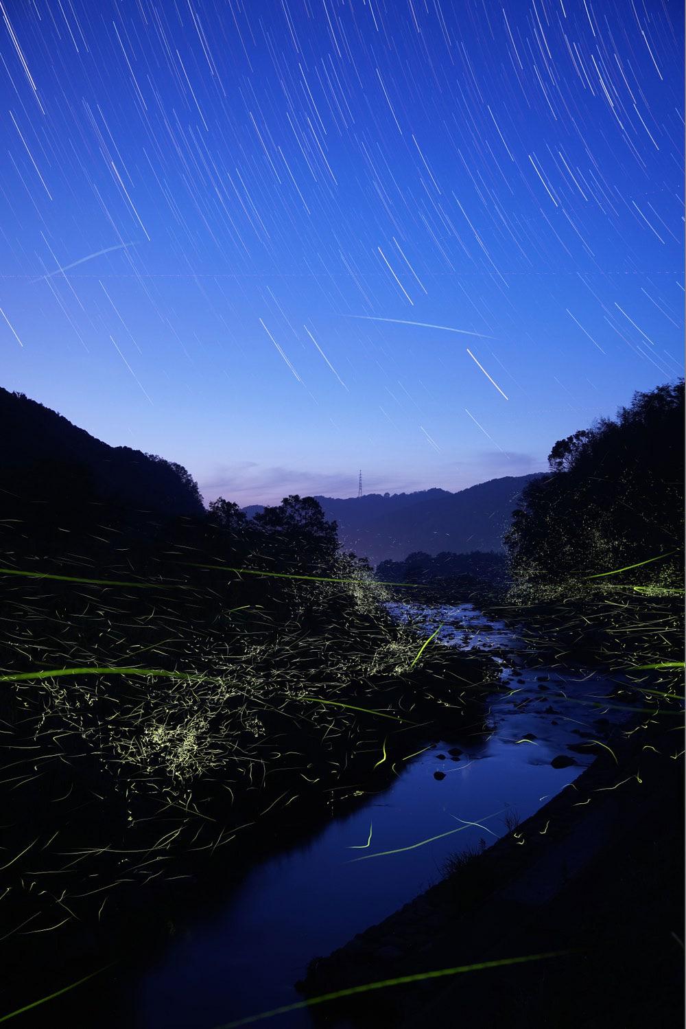 Long exposure of Japanese Fireflies - Credit to Kei Nomiyama. These