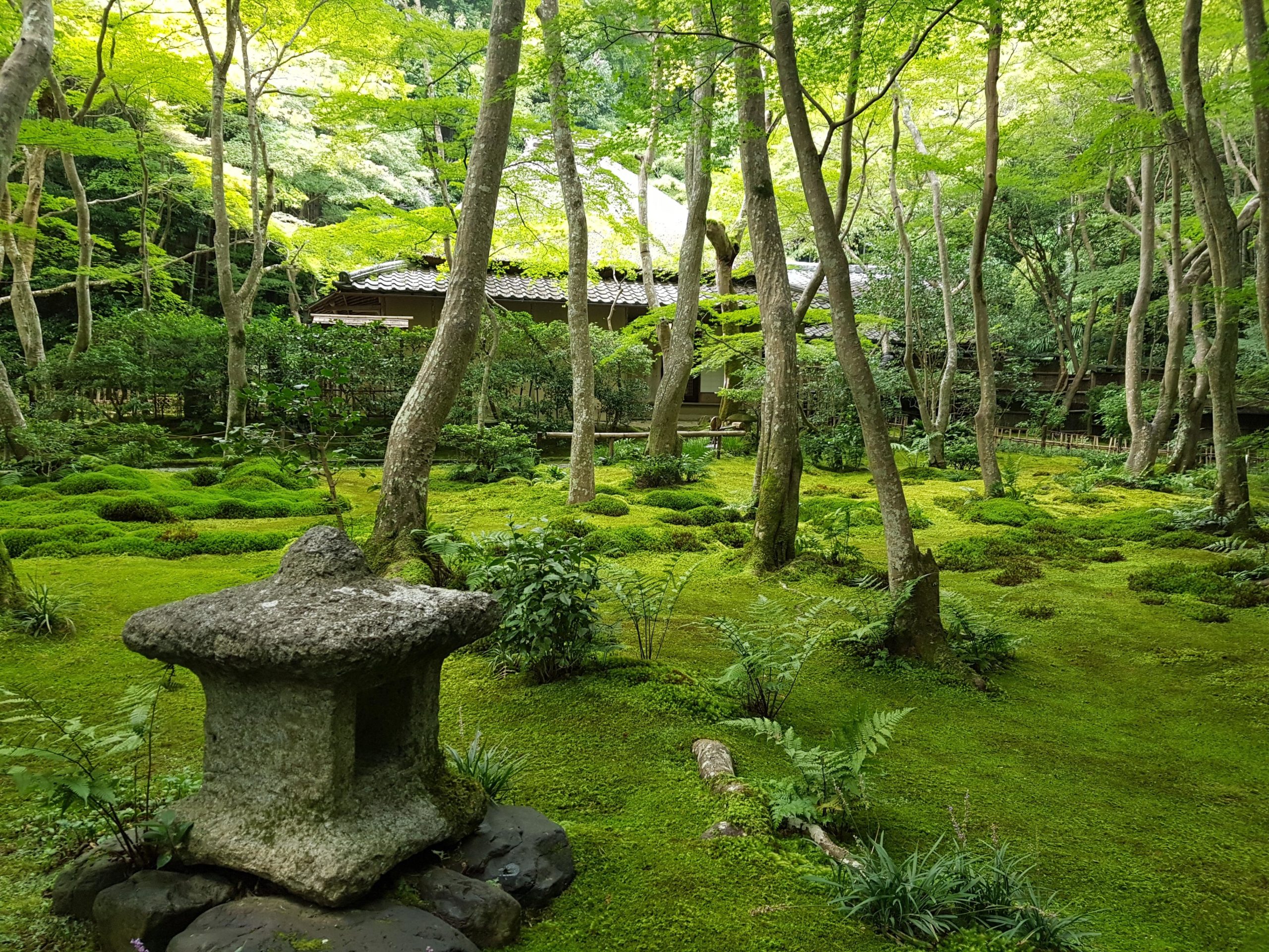 Possibly the most peaceful place on earth ... Gio-Ji, Arashiyama, Kyoto ...