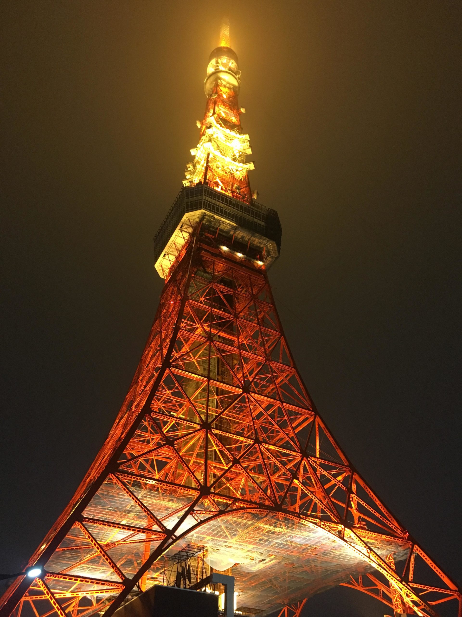 [OC] Tokyo Tower picture I took last year - Alo Japan