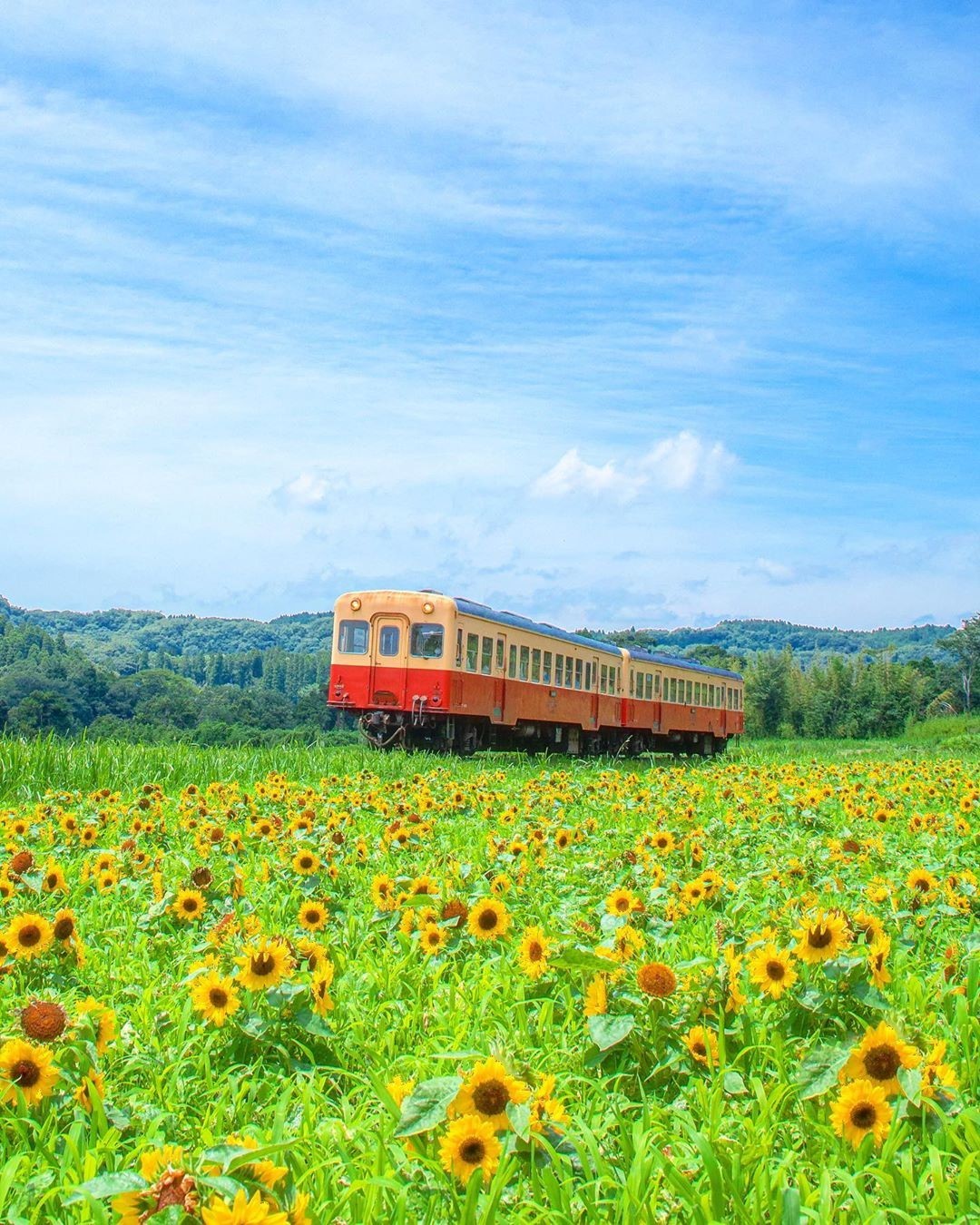 Visit Japan: Shout out to all of you train lovers! The Kominato Tetsudo