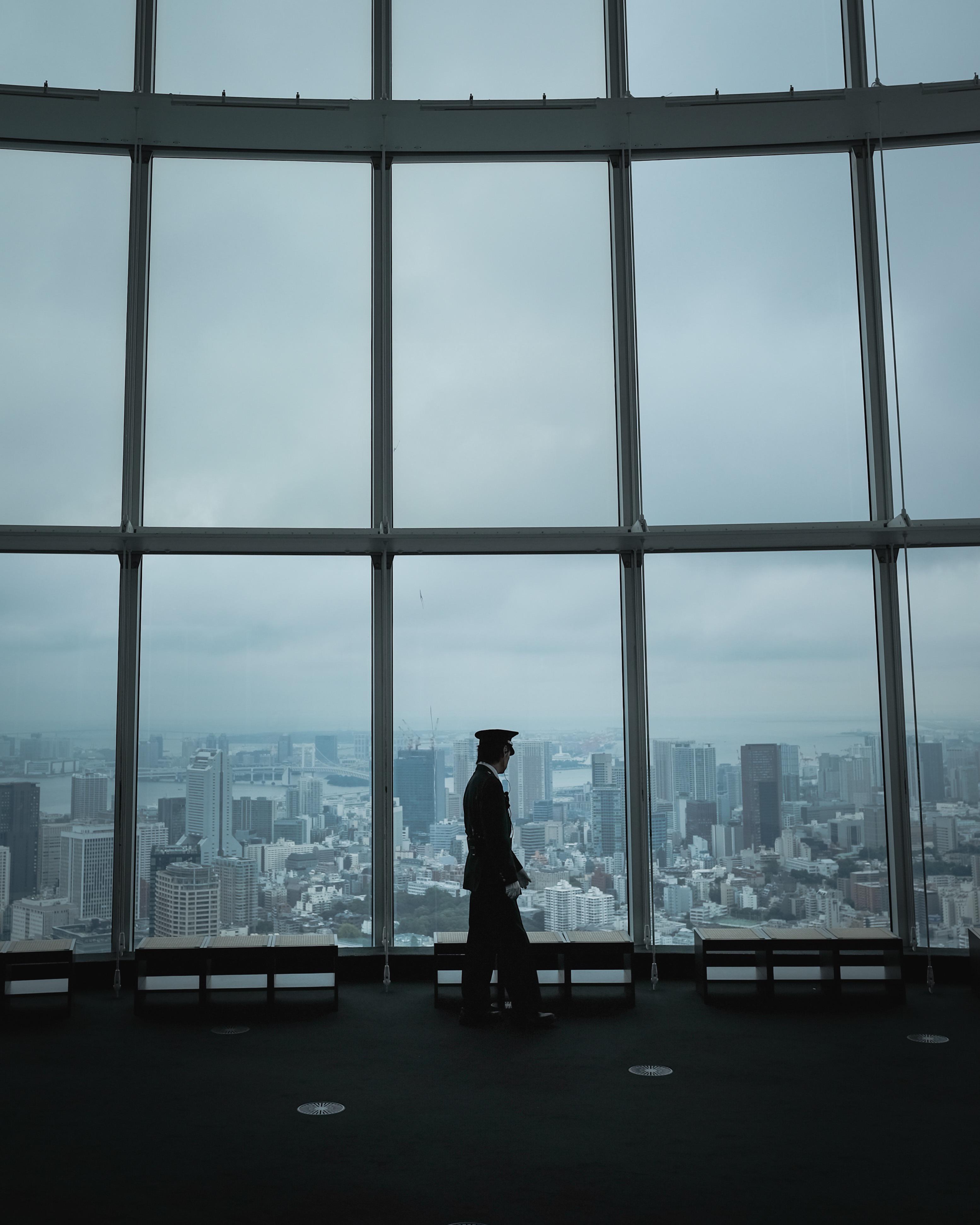 City view at the Mori Art Museum Observatory - Alo Japan