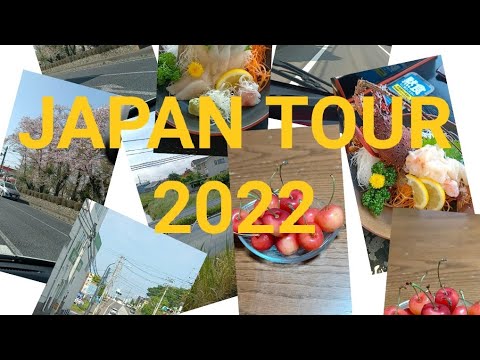 groupon japan trip 2022