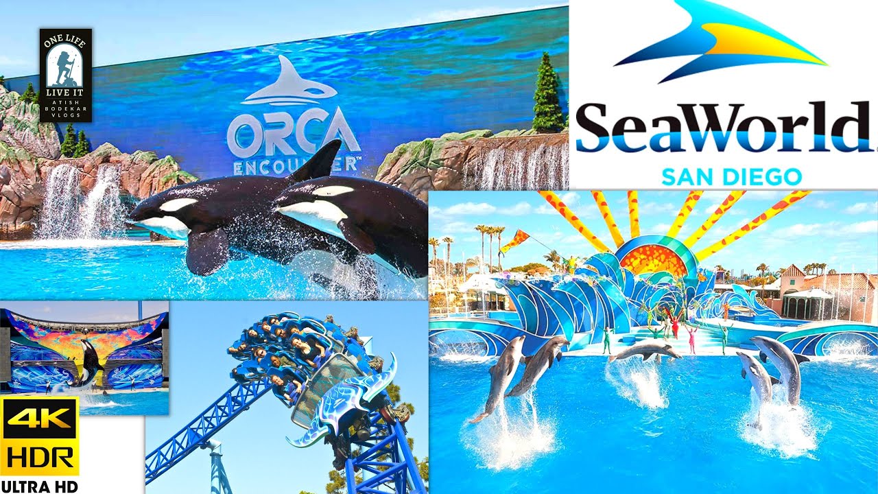 [4K] SeaWorld, San Diego Orca Encounter, Dolphin Adventure, Gangnam ...