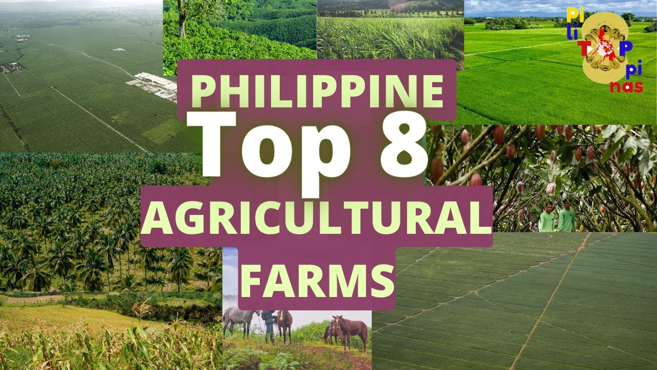 list-places-to-experience-fruit-picking-in-the-philippines