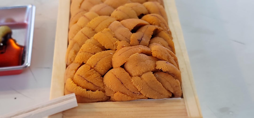 Uni feast at Tsukiji Outer Market - Alo Japan