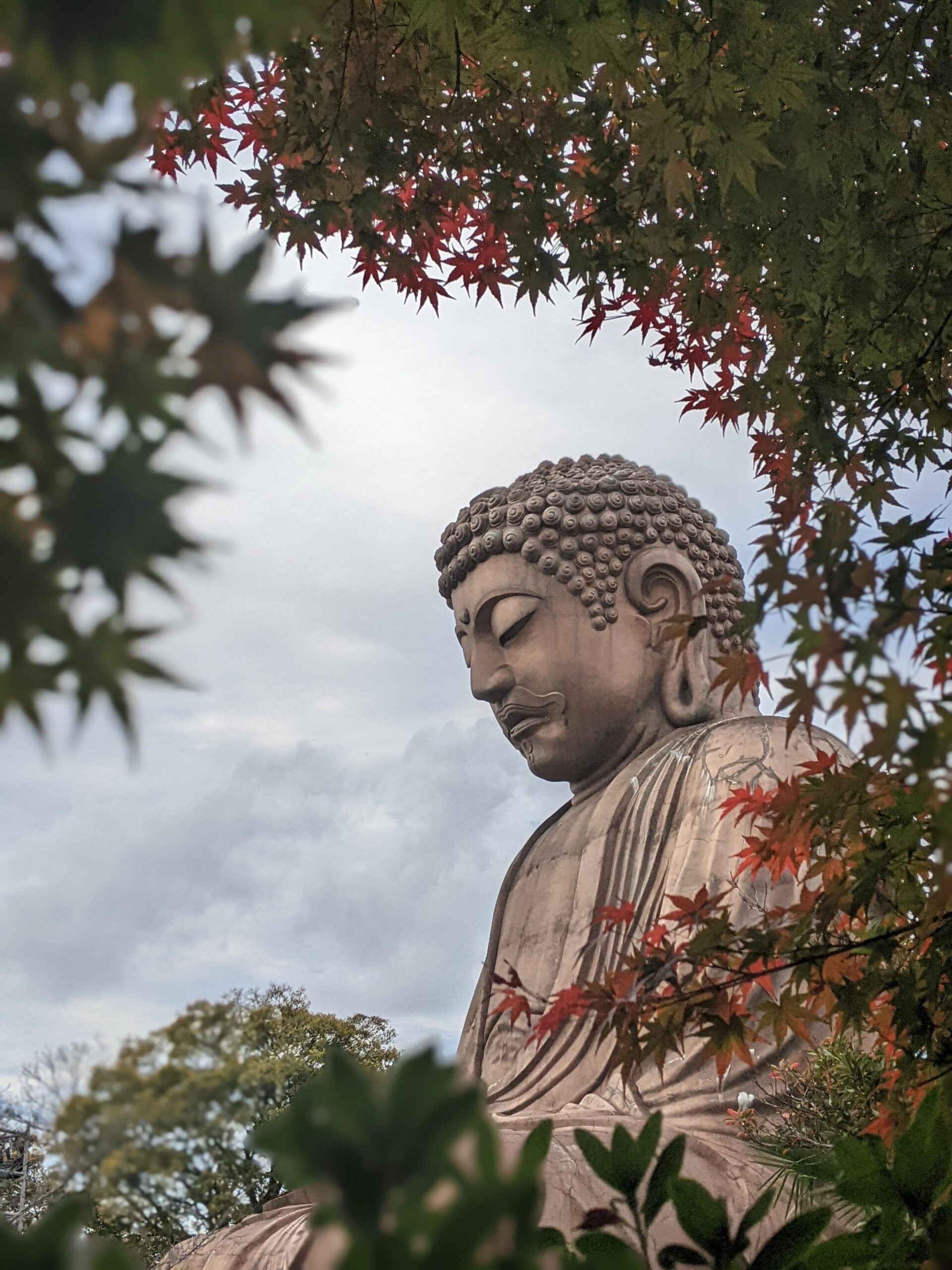 The Great Buddha of Shuurakuen, Tokai City, Aichi - Alo Japan