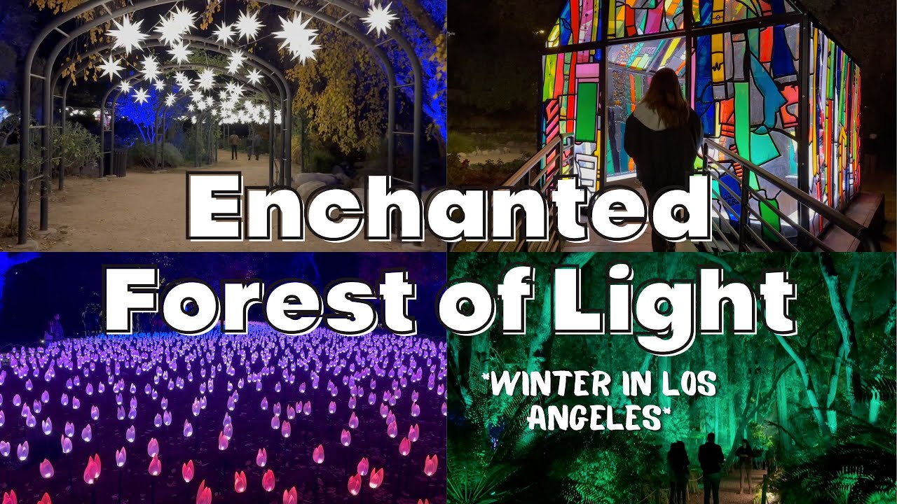 Winter Lights Los Angeles | ENCHANTED FOREST OF LIGHT at Descanso ...