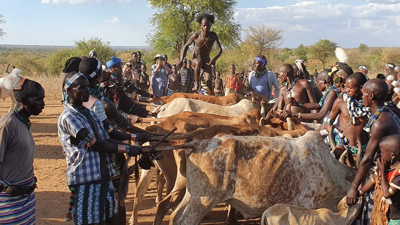 Ethiopia Omo Valley Tribes Hamer People Bull Jumping Ceremony Part