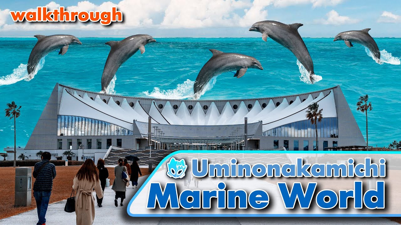 Uminonakamichi Marine World Fukuoka Walkthrough Alo Japan   1675328587 Maxresdefault 