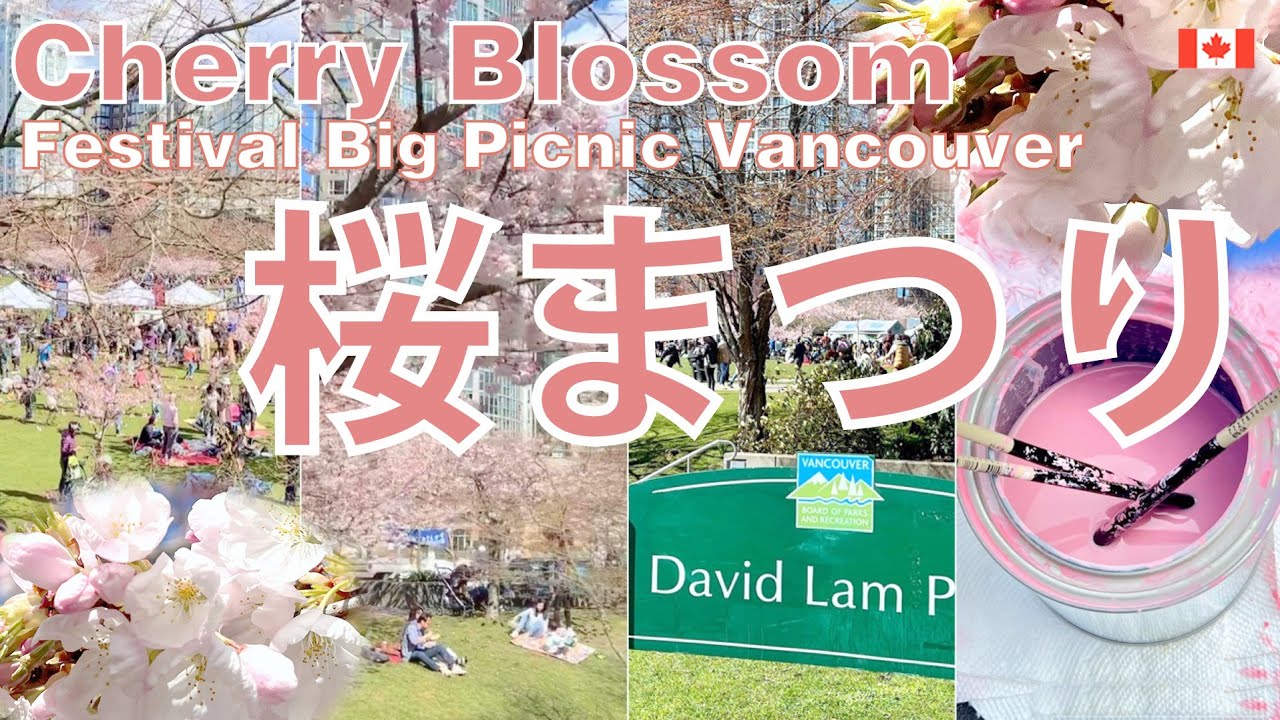 Vancouver Cherry Blossom Festival Sakura Big Picnic Vancouver