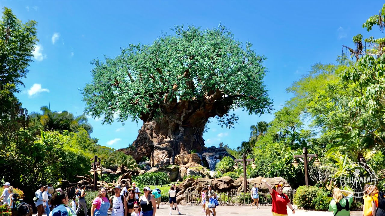 Disney's Animal Kingdom 2023 Tour / Sights & Sounds in 4K Walt Disney