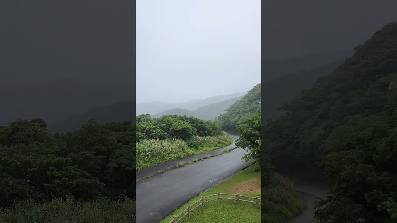 やんばるの大宜味村展望広場(梅雨シーズン) - Alo Japan