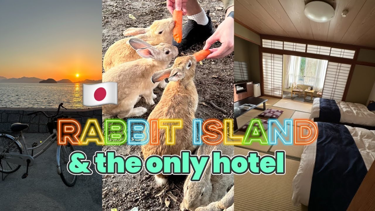 [4K] Rabbit Island Japan | Kyukamura Ohkunoshima Hiroshima Travel | Hot ...