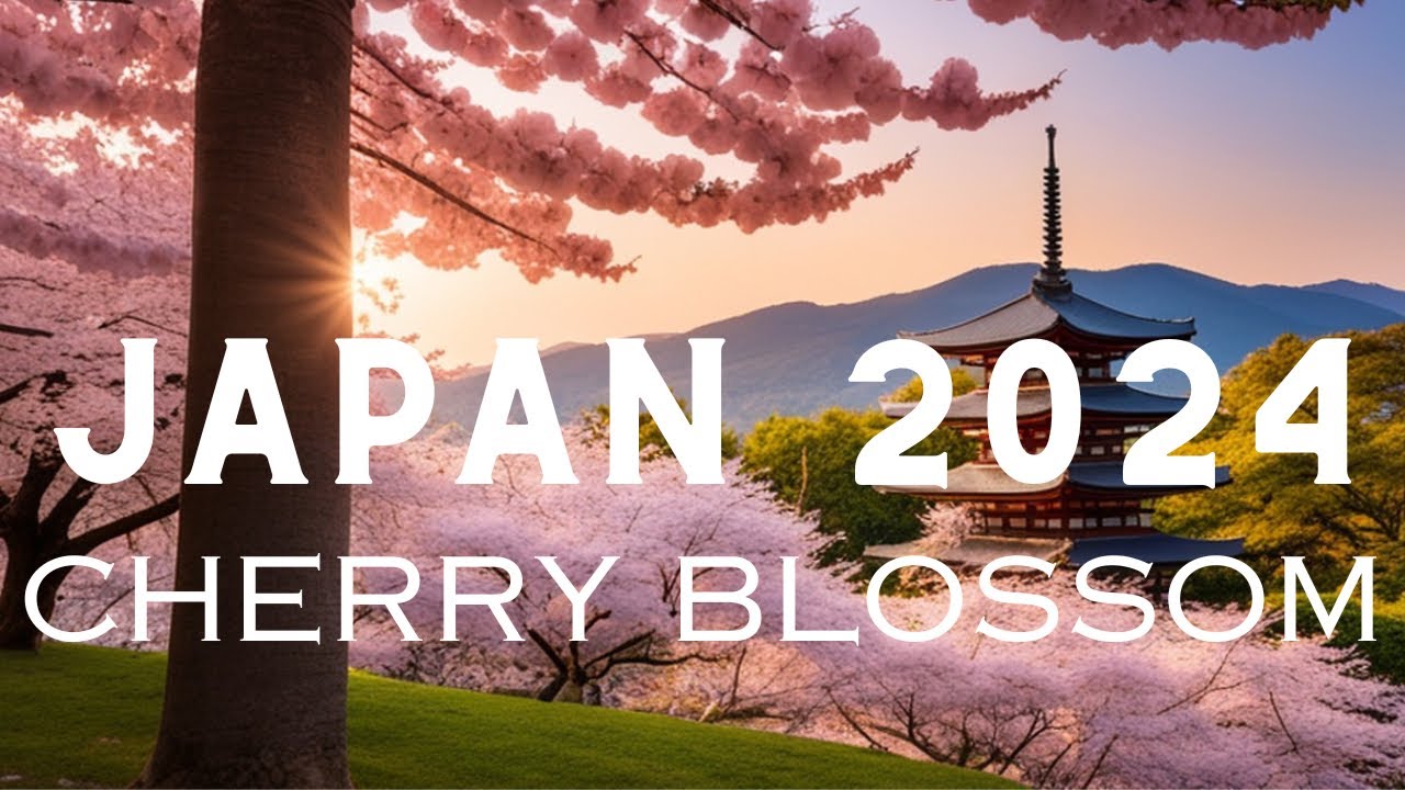 Cherry Blossoms Unveiled Your Ultimate Guide To Japan 2024 Alo Japan   1703123649 Maxresdefault 