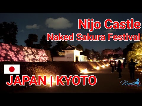 NAKED SAKURA FESTIVAL at KYOTO'S WORLD HERITAGE-LISTED NIJO CASTLE (二条城 ...